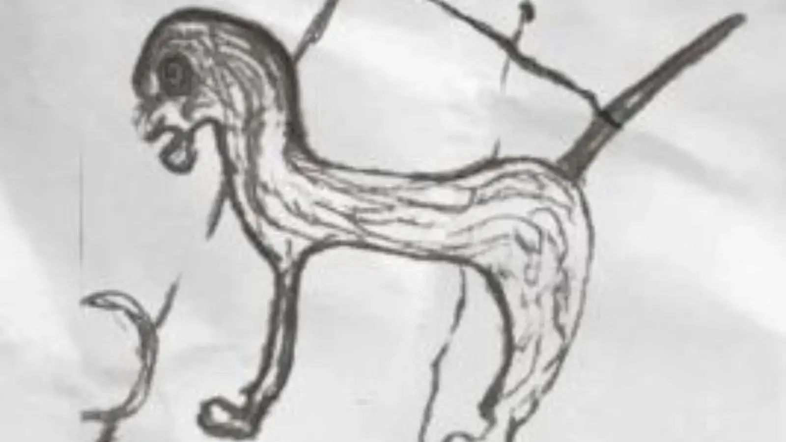 chien 2 WEBP Benjamin-Godot.com